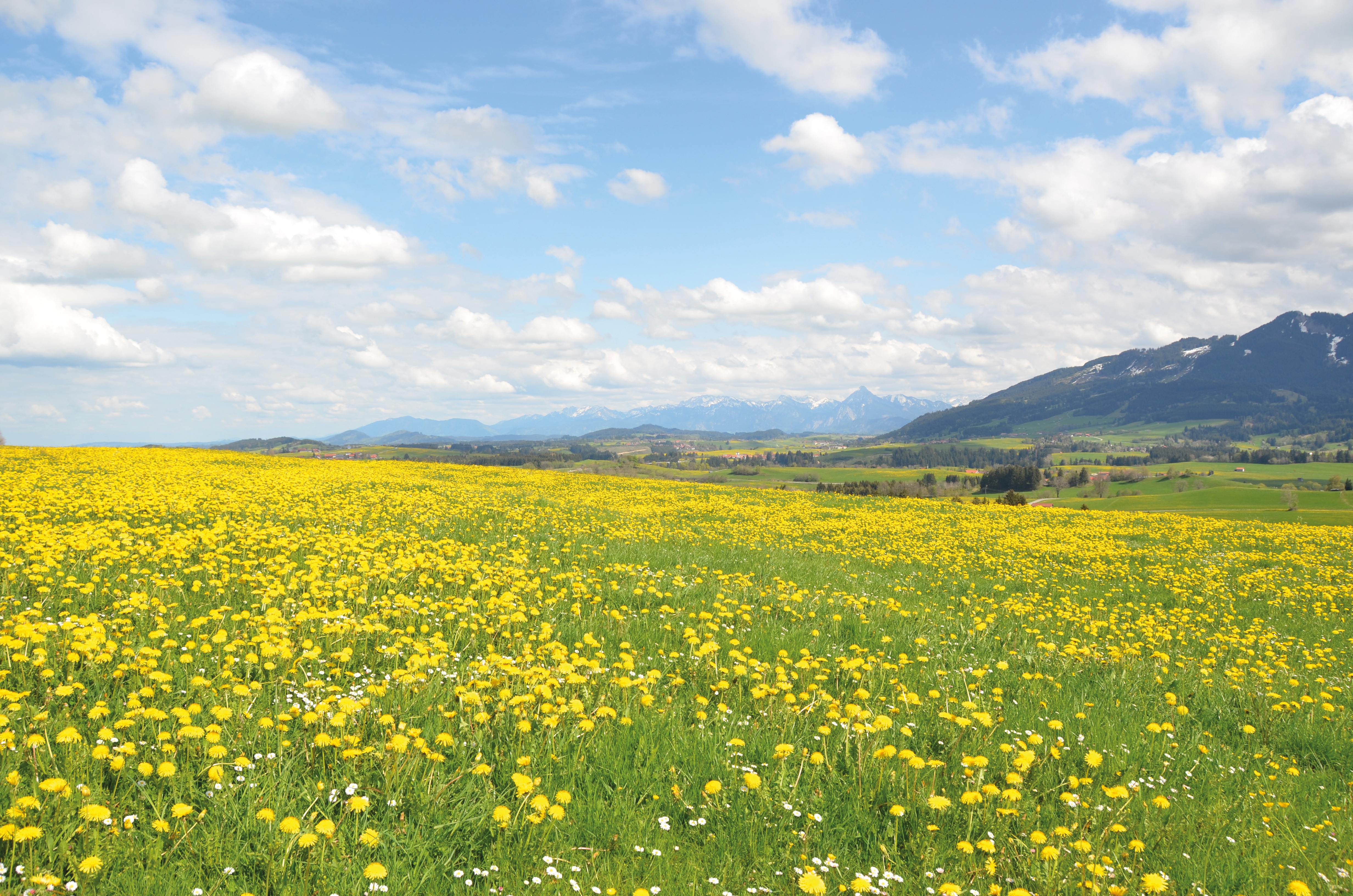 Allgäu: Vitalurlaub