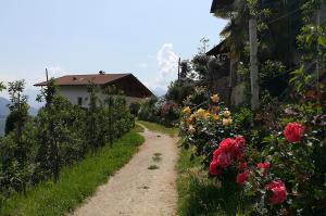 Alpenüberquerung Oberstdorf - Meran mit Hotelkomfort