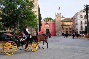 Andalusien zum Kennenlernen - Glanzlichter des spanischen Südens Andalusien zum Kennenlernen - Glanzlichter des spanischen Südens