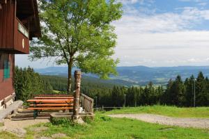 Bayerischer Wald: Wandern auf dem Goldsteig