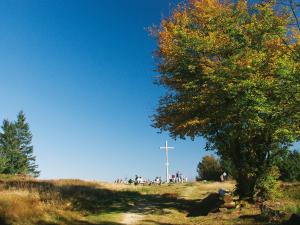 Bayerischer Wald: Wandern auf dem Goldsteig