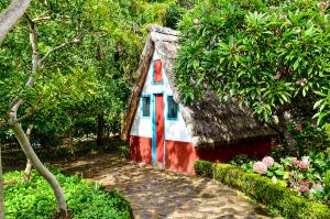 Blumeninsel Madeira