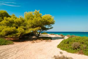 Chalkidiki: Wandern & Kultur