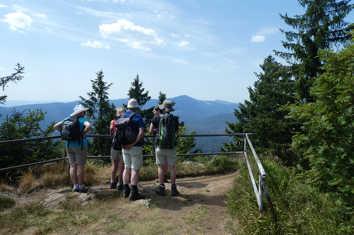 Deutschlands Wildnis - naturnah im Nationalpark Bayerischer Wald