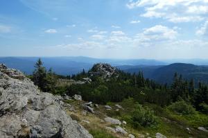 Deutschlands Wildnis - naturnah im Nationalpark Bayerischer Wald