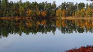 Finnland - Naturerfahrung im finnischen Herbst