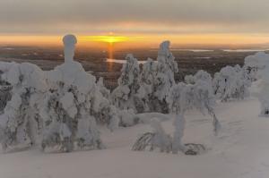 Finnland - Nordlichter, Rentiere und Baumtrolle mit Hermann J. Netz Finnland - Nordlichter, Rentiere und Baumtrolle mit Hermann J. Netz