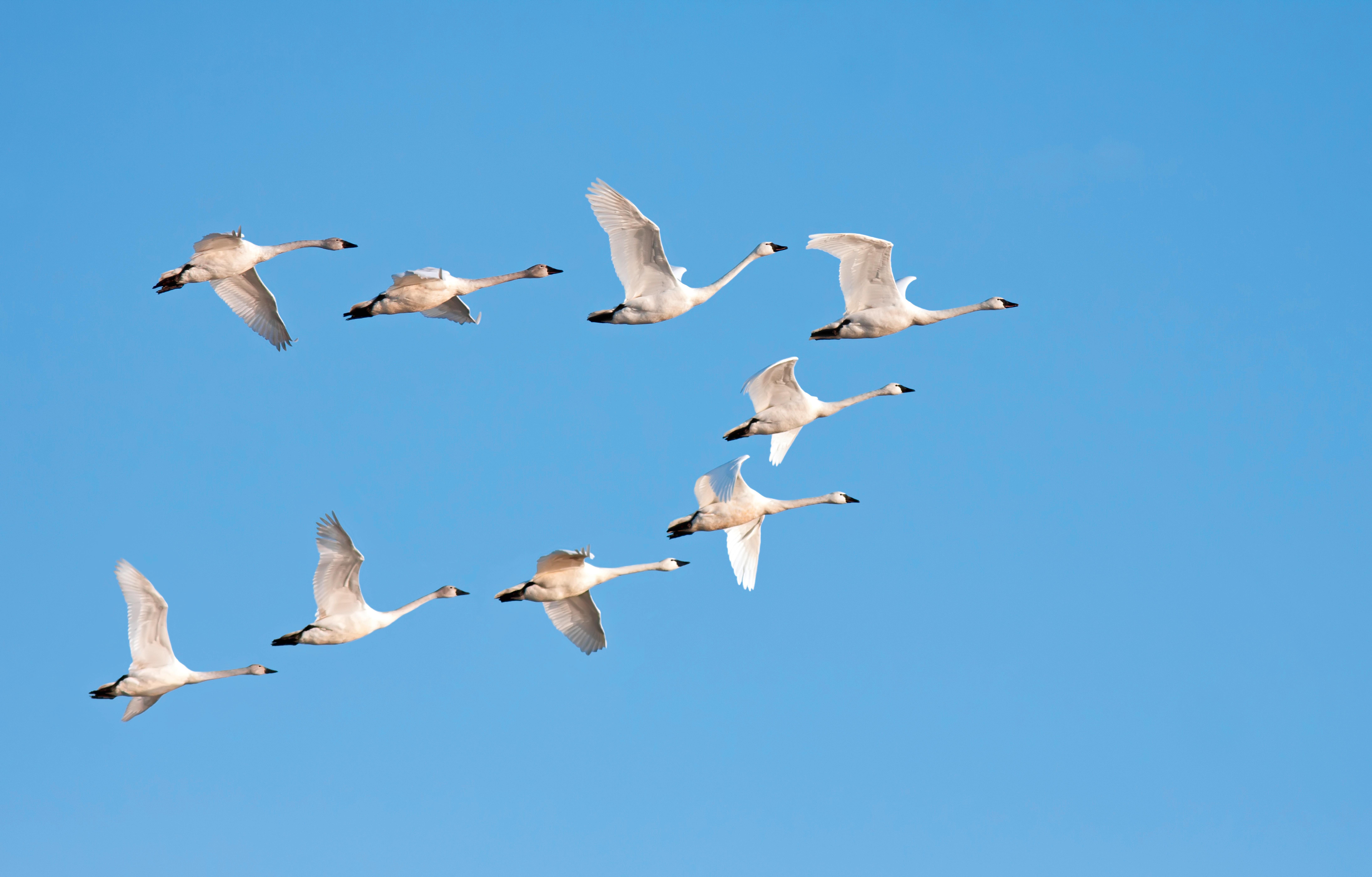 Fischland Darss Zingst Aktivurlaub Reise 8109