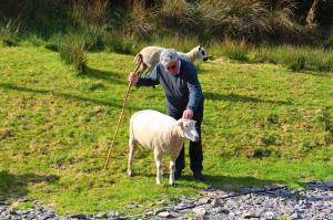 Irland geruhsam entdecken