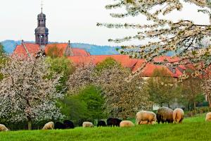 Kloster Marienrode: Achtsamkeit & Meditation