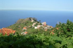 Lissabon und Madeira  -  Weiße Stadt und Blumeninsel