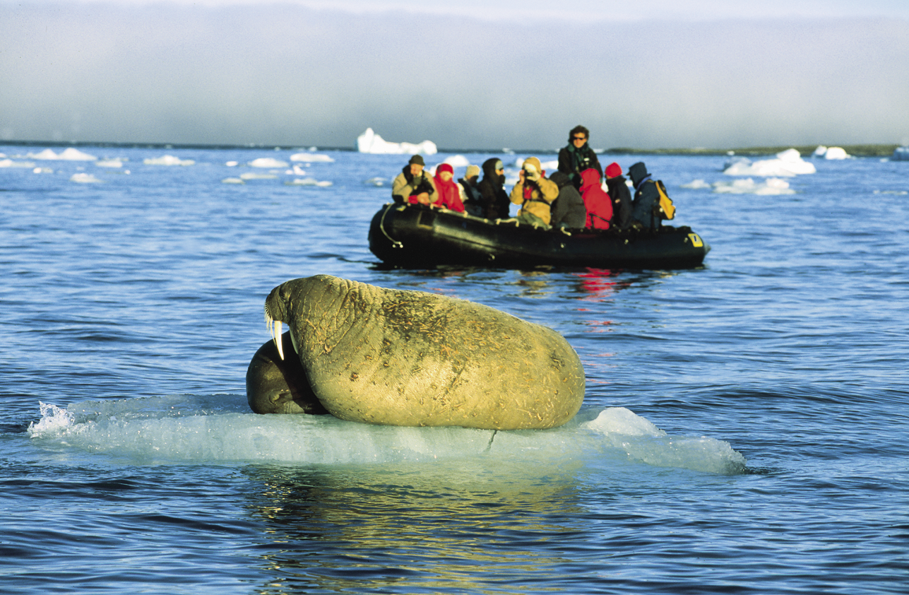 MS PLANCIUS: EXKLUSIV: Spitzbergen-Umrundung