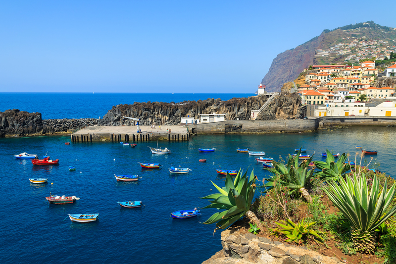Madeira: Vielfältiges Juwel im Atlantik  Reise #7852