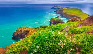 Madeira: Wandern & Kultur