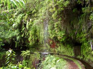 Madeira: Wandern