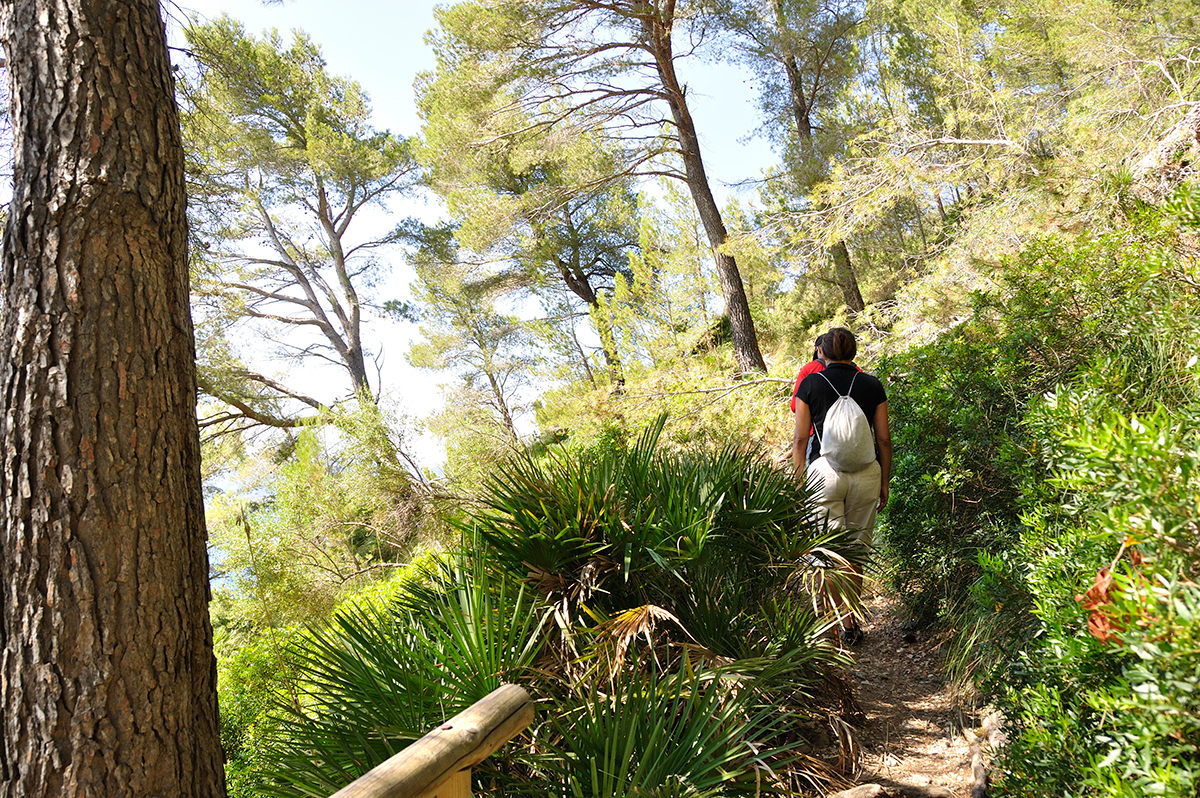 Mallorca mit dem E-Bike