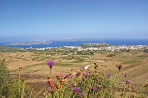 Malta und Gozo zum Kennenlernen