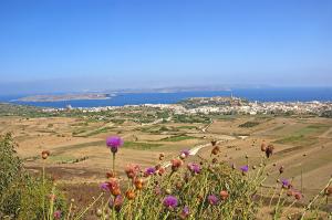 Mediterranes Doppel  -  Malta und Gozo ausführlich entdecken