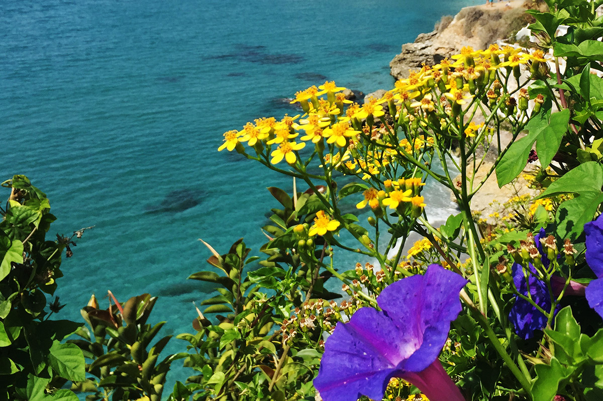 Natur und Kultur in Andalusien