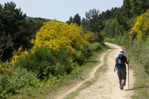 Nordspanien: Wandern entlang des Jakobswegs