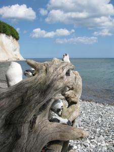 Ostsee: Rügen: Wandern im Süden Rügens