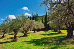 Peloponnes: Kultur & Natur