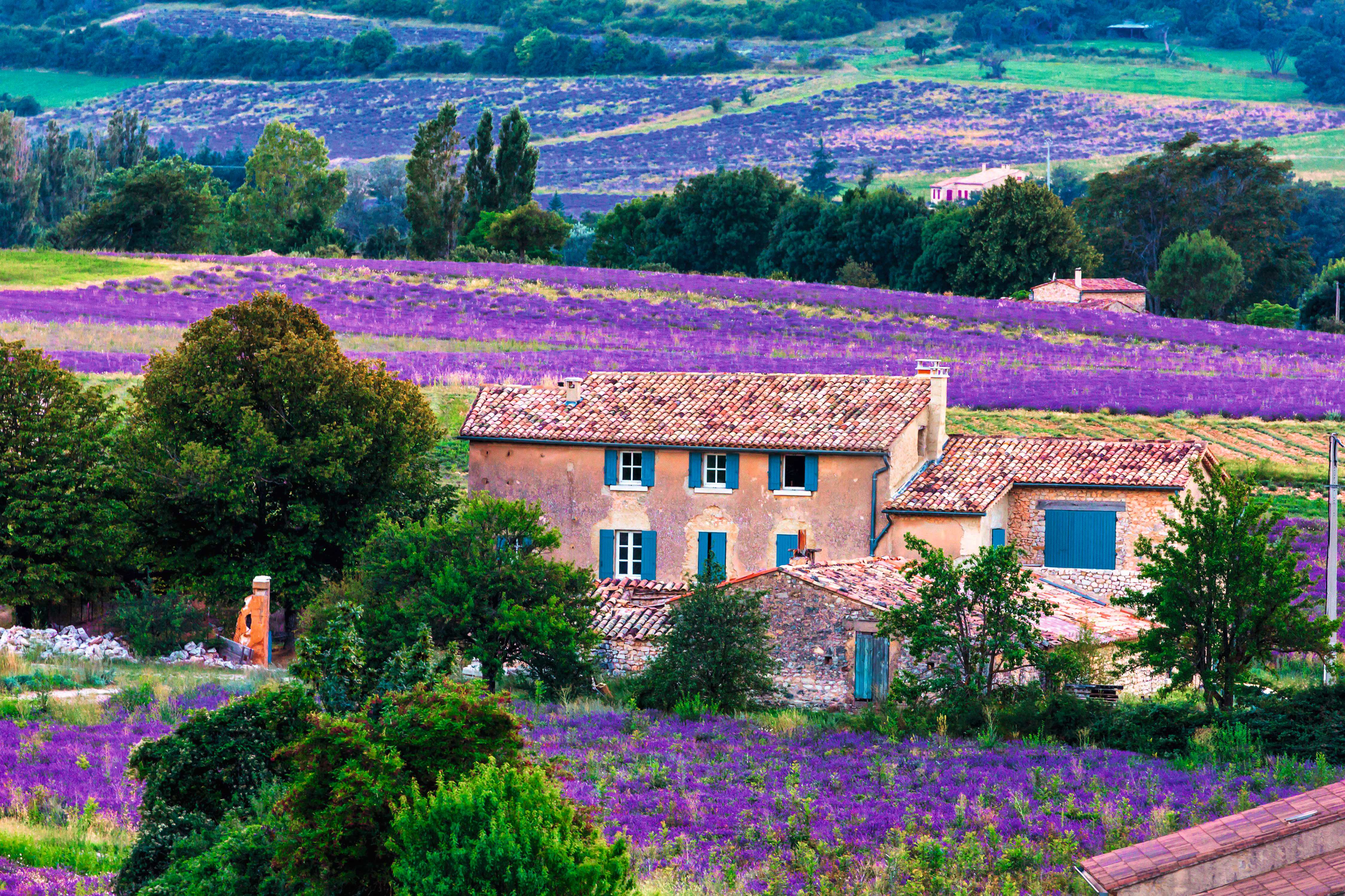 Provence: Höhepunkte zur Lavendelblüte
