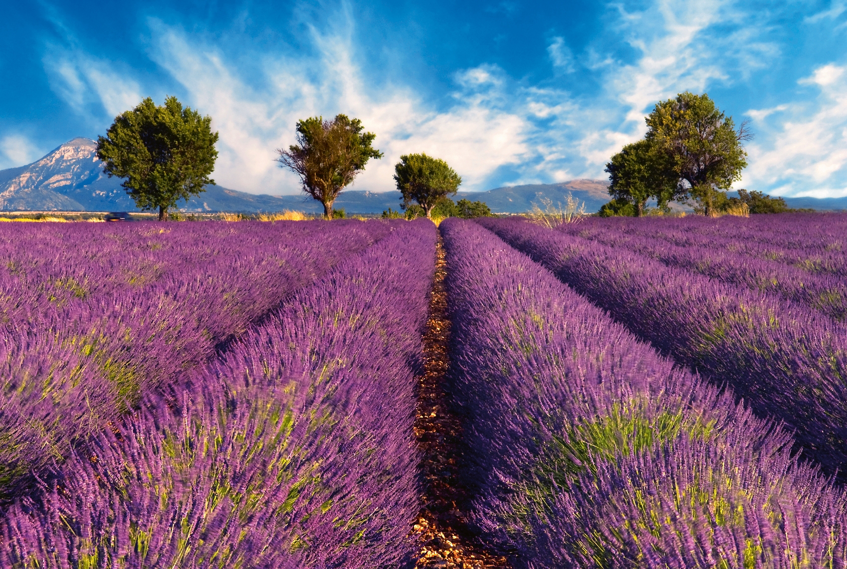 Provence: Kultur & Genuss
