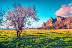 Sizilien: Impressionen zur Mandelblüte