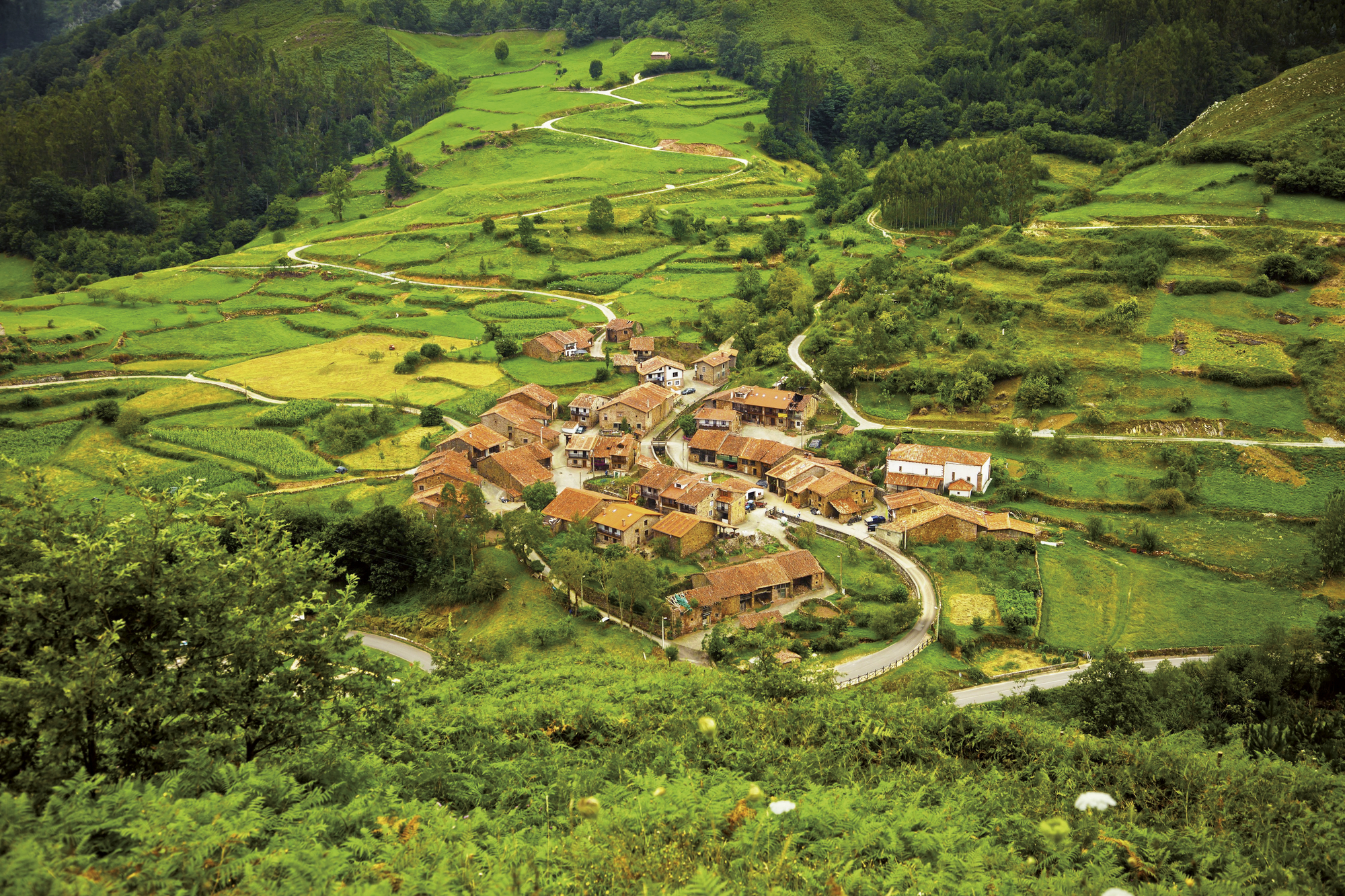Spaniens grüner Norden  Reise #9502