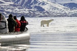 Spitzbergen - Im Eisbärland