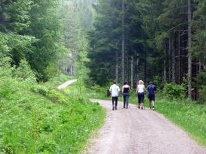 Südschwarzwald: Vitalurlaub