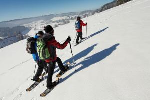 Südschwarzwald: Winterwandern