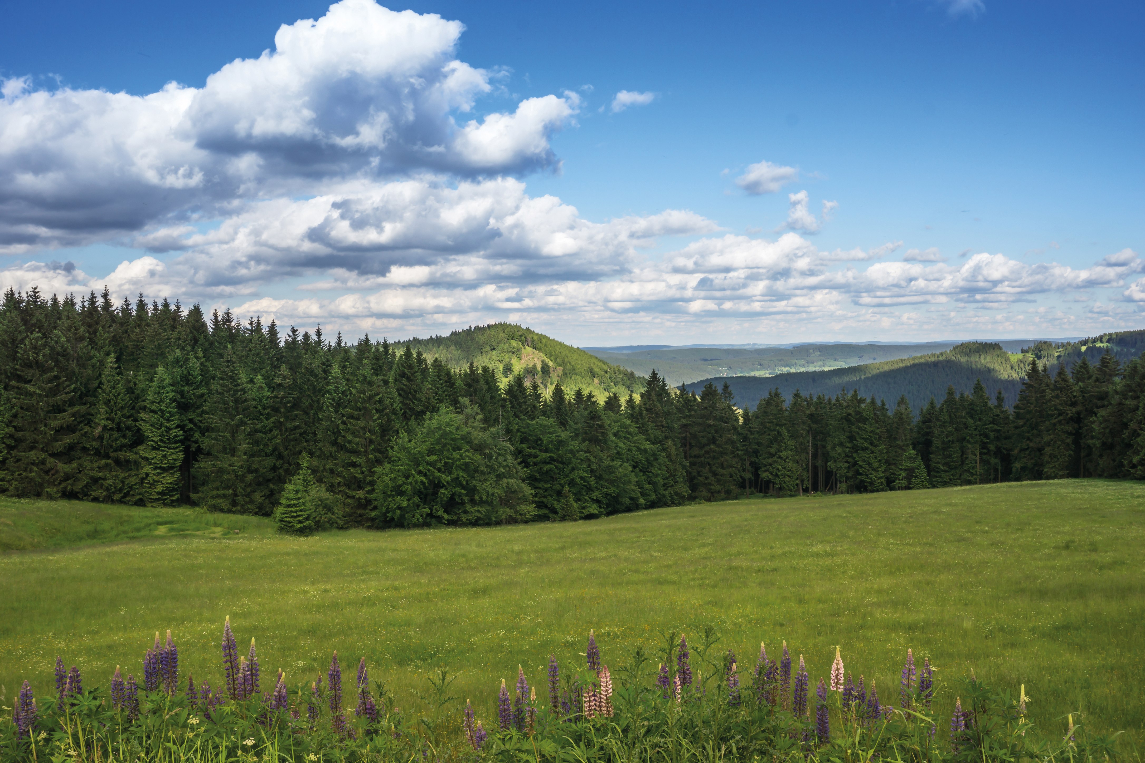 Thüringer Wald: Wandern