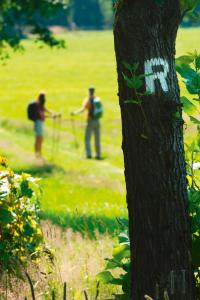 Thüringer Wald: Wandern